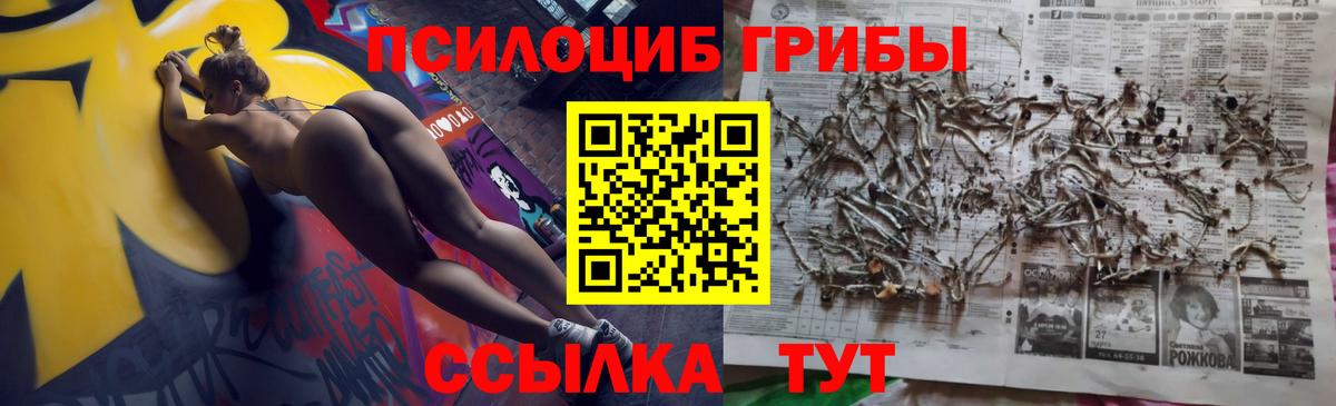 Галлюциногенные грибы Psilocybe  Вход с VPN  Кизляр 